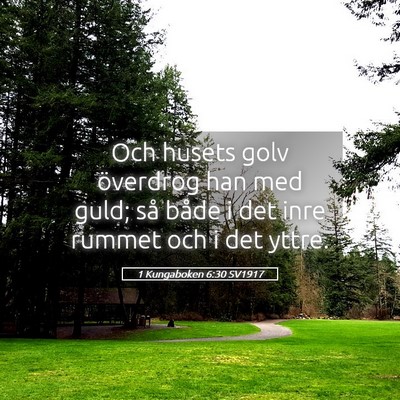 Picture 05 - 1 Kungaboken 6:30 SV1917 - Och husets golv överdrog han med guld; så både - Bible Verse Picture