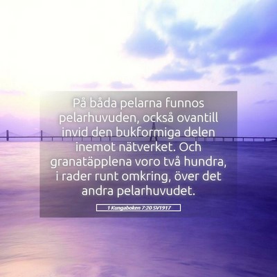Picture 05 - 1 Kungaboken 7:20 SV1917 - På båda pelarna funnos pelarhuvuden, också - Bible Verse Picture