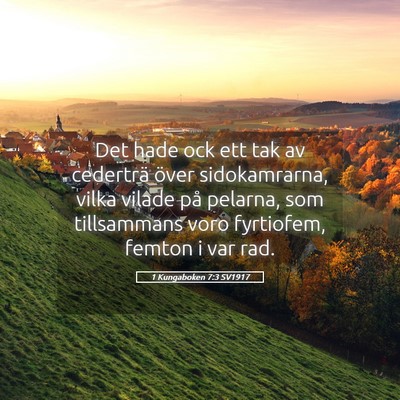 Picture 05 - 1 Kungaboken 7:3 SV1917 - Det hade ock ett tak av cederträ över - Bible Verse Picture