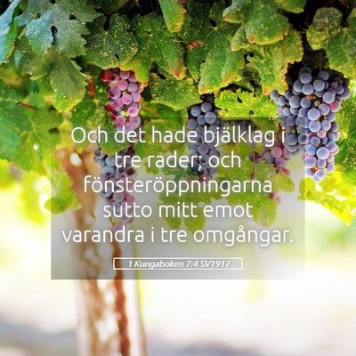 Picture 05 - 1 Kungaboken 7:4 SV1917 - Och det hade bjälklag i tre rader; och - Bible Verse Picture