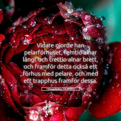 Picture 05 - 1 Kungaboken 7:6 SV1917 - Vidare gjorde han pelarförhuset, femtio alnar - Bible Verse Picture