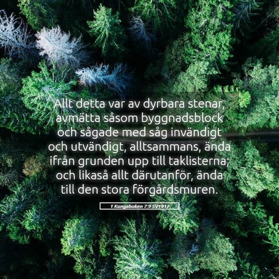 Picture 05 - 1 Kungaboken 7:9 SV1917 - Allt detta var av dyrbara stenar, avmätta såsom - Bible Verse Picture