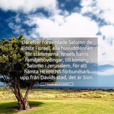 Picture 05 - 1 Kungaboken 8:1 SV1917 - Därefter församlade Salomo de äldste i Israel, - Bible Verse Picture
