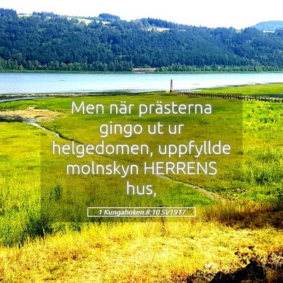 Picture 05 - 1 Kungaboken 8:10 SV1917 - Men när prästerna gingo ut ur helgedomen, - Bible Verse Picture