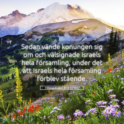 Picture 05 - 1 Kungaboken 8:14 SV1917 - Sedan vände konungen sig om och välsignade - Bible Verse Picture