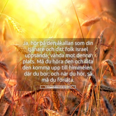 Picture 05 - 1 Kungaboken 8:30 SV1917 - Ja, hör på den åkallan som din tjänare och - Bible Verse Picture