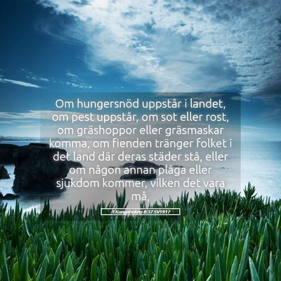 Picture 05 - 1 Kungaboken 8:37 SV1917 - Om hungersnöd uppstår i landet, om pest - Bible Verse Picture