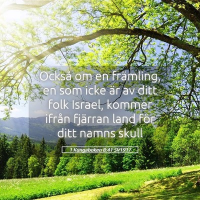 Picture 05 - 1 Kungaboken 8:41 SV1917 - Också om en främling, en som icke är av ditt - Bible Verse Picture