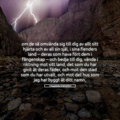 Picture 05 - 1 Kungaboken 8:48 SV1917 - om de så omvända sig till dig av allt sitt - Bible Verse Picture