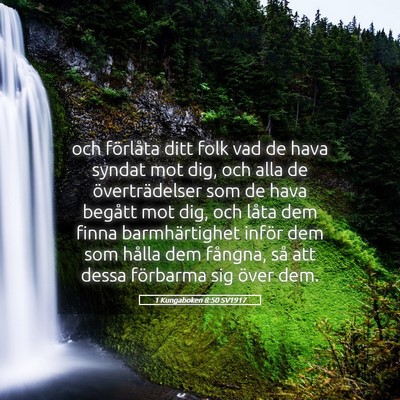 Picture 05 - 1 Kungaboken 8:50 SV1917 - och förlåta ditt folk vad de hava syndat mot - Bible Verse Picture