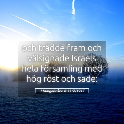 Picture 05 - 1 Kungaboken 8:55 SV1917 - och trädde fram och välsignade Israels hela - Bible Verse Picture