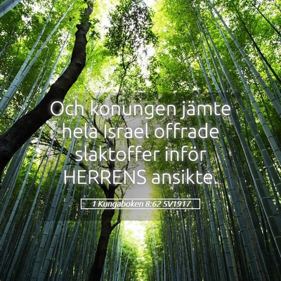Picture 05 - 1 Kungaboken 8:62 SV1917 - Och konungen jämte hela Israel offrade - Bible Verse Picture