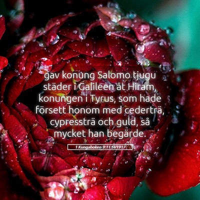 Picture 05 - 1 Kungaboken 9:11 SV1917 - gav konung Salomo tjugu städer i Galileen åt - Bible Verse Picture