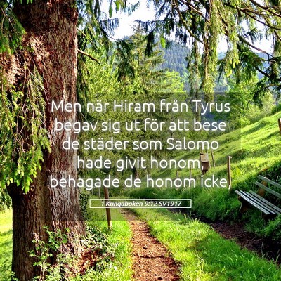 Picture 05 - 1 Kungaboken 9:12 SV1917 - Men när Hiram från Tyrus begav sig ut för att - Bible Verse Picture