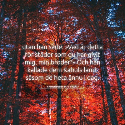 Picture 05 - 1 Kungaboken 9:13 SV1917 - utan han sade: »Vad är detta för städer som - Bible Verse Picture