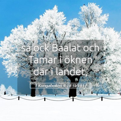 Picture 05 - 1 Kungaboken 9:18 SV1917 - så ock Baalat och Tamar i öknen där i - Bible Verse Picture