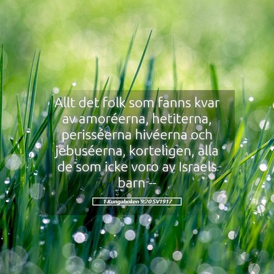 Picture 05 - 1 Kungaboken 9:20 SV1917 - Allt det folk som fanns kvar av amoréerna, - Bible Verse Picture