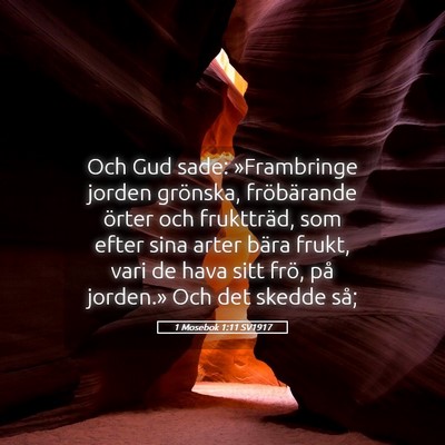 Picture 05 - 1 Mosebok 1:11 SV1917 - Och Gud sade: »Frambringe jorden grönska, - Bible Verse Picture