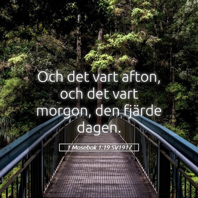 Picture 05 - 1 Mosebok 1:19 SV1917 - Och det vart afton, och det vart morgon, den - Bible Verse Picture