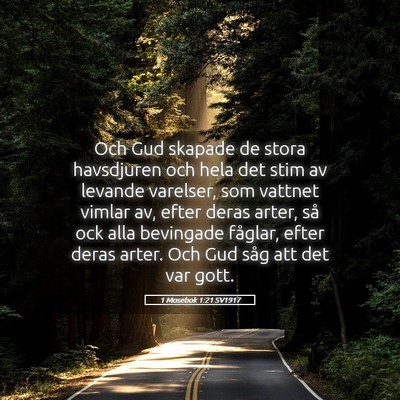 Picture 05 - 1 Mosebok 1:21 SV1917 - Och Gud skapade de stora havsdjuren och hela det - Bible Verse Picture