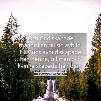 Picture 05 - 1 Mosebok 1:27 SV1917 - Och Gud skapade människan till sin avbild, till - Bible Verse Picture