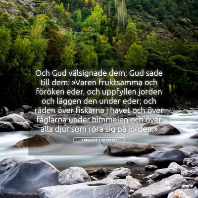 Picture 05 - 1 Mosebok 1:28 SV1917 - Och Gud välsignade dem; Gud sade till dem: - Bible Verse Picture