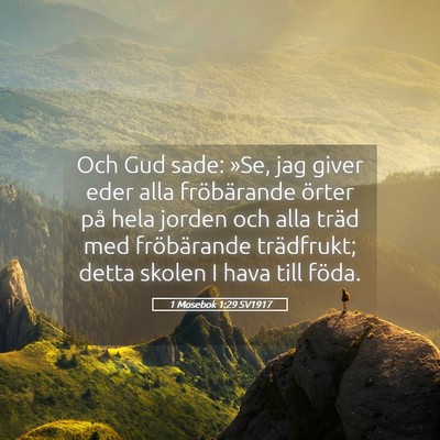 Picture 05 - 1 Mosebok 1:29 SV1917 - Och Gud sade: »Se, jag giver eder alla - Bible Verse Picture