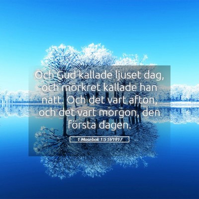 Picture 05 - 1 Mosebok 1:5 SV1917 - Och Gud kallade ljuset dag, och mörkret kallade - Bible Verse Picture