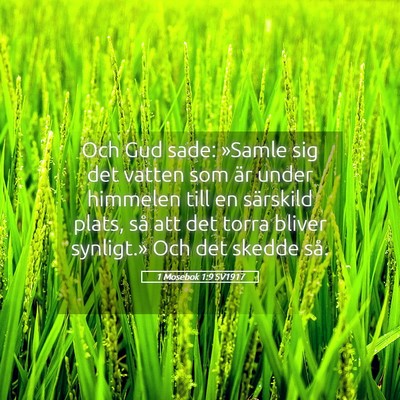 Picture 05 - 1 Mosebok 1:9 SV1917 - Och Gud sade: »Samle sig det vatten som är - Bible Verse Picture
