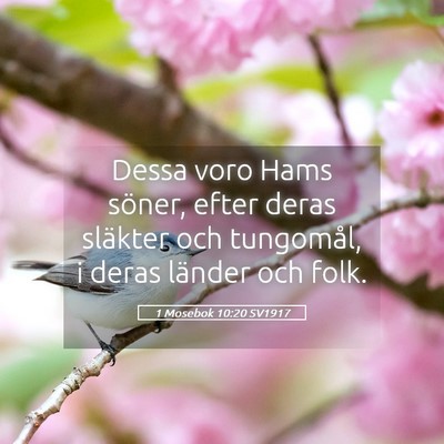 Picture 05 - 1 Mosebok 10:20 SV1917 - Dessa voro Hams söner, efter deras släkter och - Bible Verse Picture