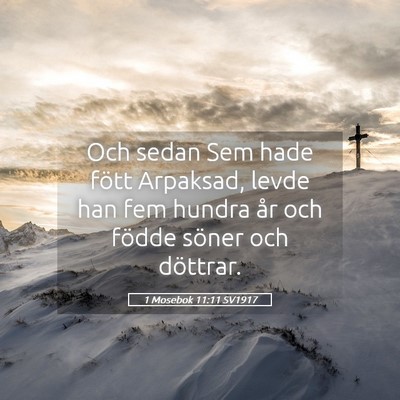 Picture 05 - 1 Mosebok 11:11 SV1917 - Och sedan Sem hade fött Arpaksad, levde han fem - Bible Verse Picture