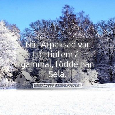 Picture 05 - 1 Mosebok 11:12 SV1917 - När Arpaksad var trettiofem år gammal, födde - Bible Verse Picture
