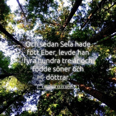 Picture 05 - 1 Mosebok 11:15 SV1917 - Och sedan Sela hade fött Eber, levde han fyra - Bible Verse Picture