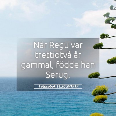 Picture 05 - 1 Mosebok 11:20 SV1917 - När Regu var trettiotvå år gammal, födde han - Bible Verse Picture