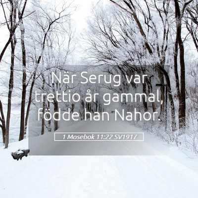 Picture 05 - 1 Mosebok 11:22 SV1917 - När Serug var trettio år gammal, födde han - Bible Verse Picture