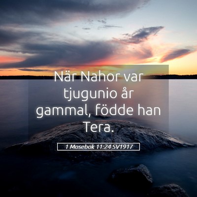 Picture 05 - 1 Mosebok 11:24 SV1917 - När Nahor var tjugunio år gammal, födde han - Bible Verse Picture