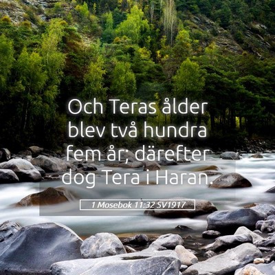 Picture 05 - 1 Mosebok 11:32 SV1917 - Och Teras ålder blev två hundra fem år; - Bible Verse Picture