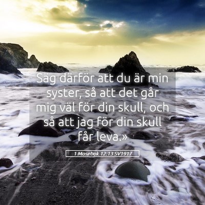 Picture 05 - 1 Mosebok 12:13 SV1917 - Säg därför att du är min syster, så att det - Bible Verse Picture