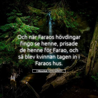 Picture 05 - 1 Mosebok 12:15 SV1917 - Och när Faraos hövdingar fingo se henne, - Bible Verse Picture