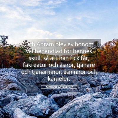 Picture 05 - 1 Mosebok 12:16 SV1917 - Och Abram blev av honom väl behandlad för - Bible Verse Picture