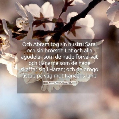 Picture 05 - 1 Mosebok 12:5 SV1917 - Och Abram tog sin hustru Sarai och sin brorson - Bible Verse Picture