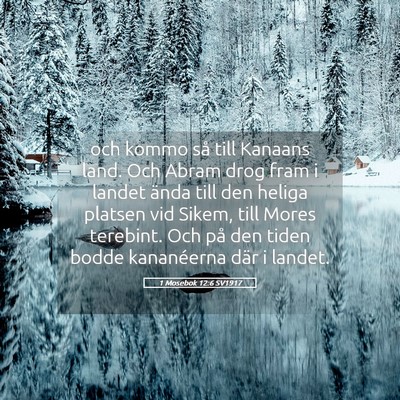 Picture 05 - 1 Mosebok 12:6 SV1917 - och kommo så till Kanaans land. Och Abram drog - Bible Verse Picture