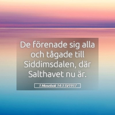 Picture 05 - 1 Mosebok 14:3 SV1917 - De förenade sig alla och tågade till - Bible Verse Picture