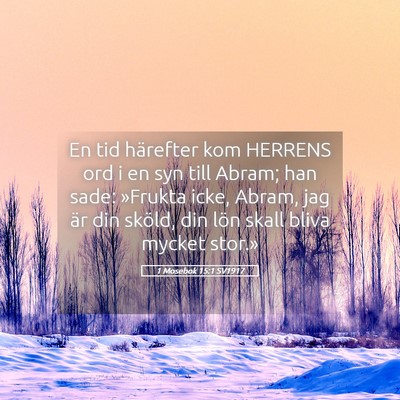 Picture 05 - 1 Mosebok 15:1 SV1917 - En tid härefter kom HERRENS ord i en syn till - Bible Verse Picture