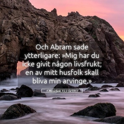 Picture 05 - 1 Mosebok 15:3 SV1917 - Och Abram sade ytterligare: »Mig har du icke - Bible Verse Picture