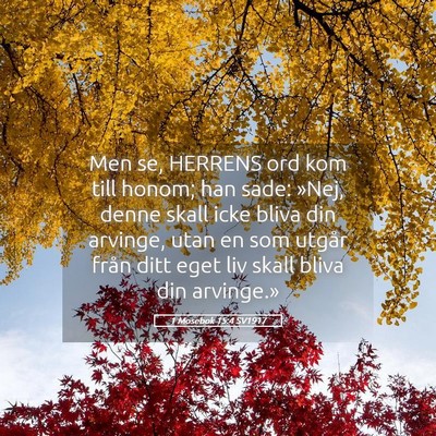 Picture 05 - 1 Mosebok 15:4 SV1917 - Men se, HERRENS ord kom till honom; han sade: - Bible Verse Picture