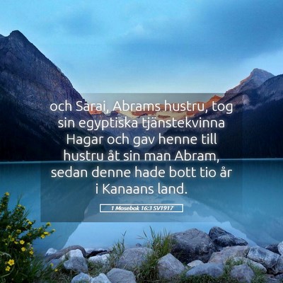 Picture 05 - 1 Mosebok 16:3 SV1917 - och Sarai, Abrams hustru, tog sin egyptiska - Bible Verse Picture
