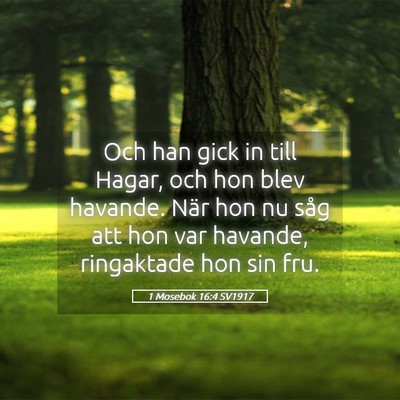 Picture 05 - 1 Mosebok 16:4 SV1917 - Och han gick in till Hagar, och hon blev havande. - Bible Verse Picture