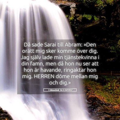 Picture 05 - 1 Mosebok 16:5 SV1917 - Då sade Sarai till Abram: »Den orätt mig sker - Bible Verse Picture