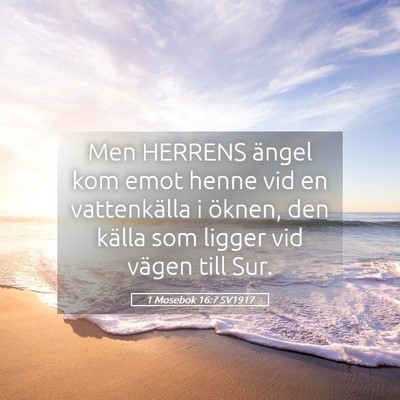 Picture 05 - 1 Mosebok 16:7 SV1917 - Men HERRENS ängel kom emot henne vid en - Bible Verse Picture